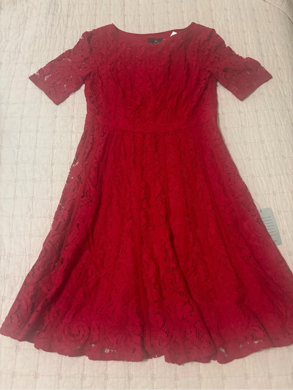 Adrianna Papell Red Lace Fit-and-Flare Dress